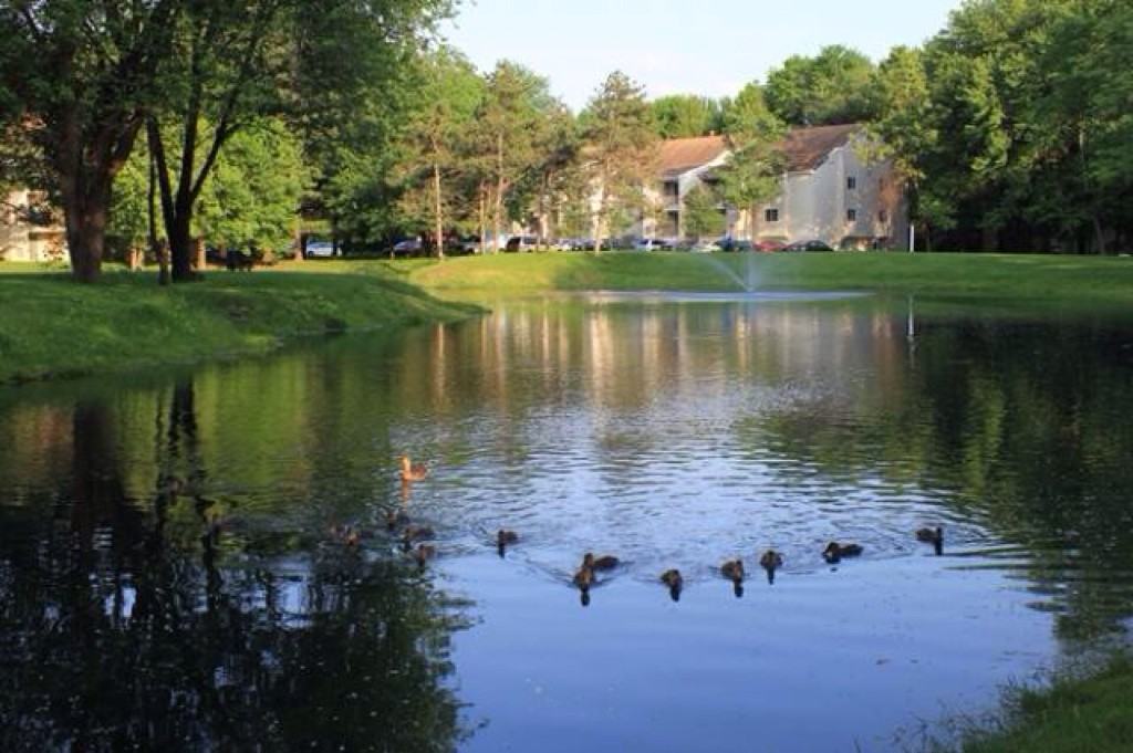 2221 Huntridge dr - Photo 3 of 5