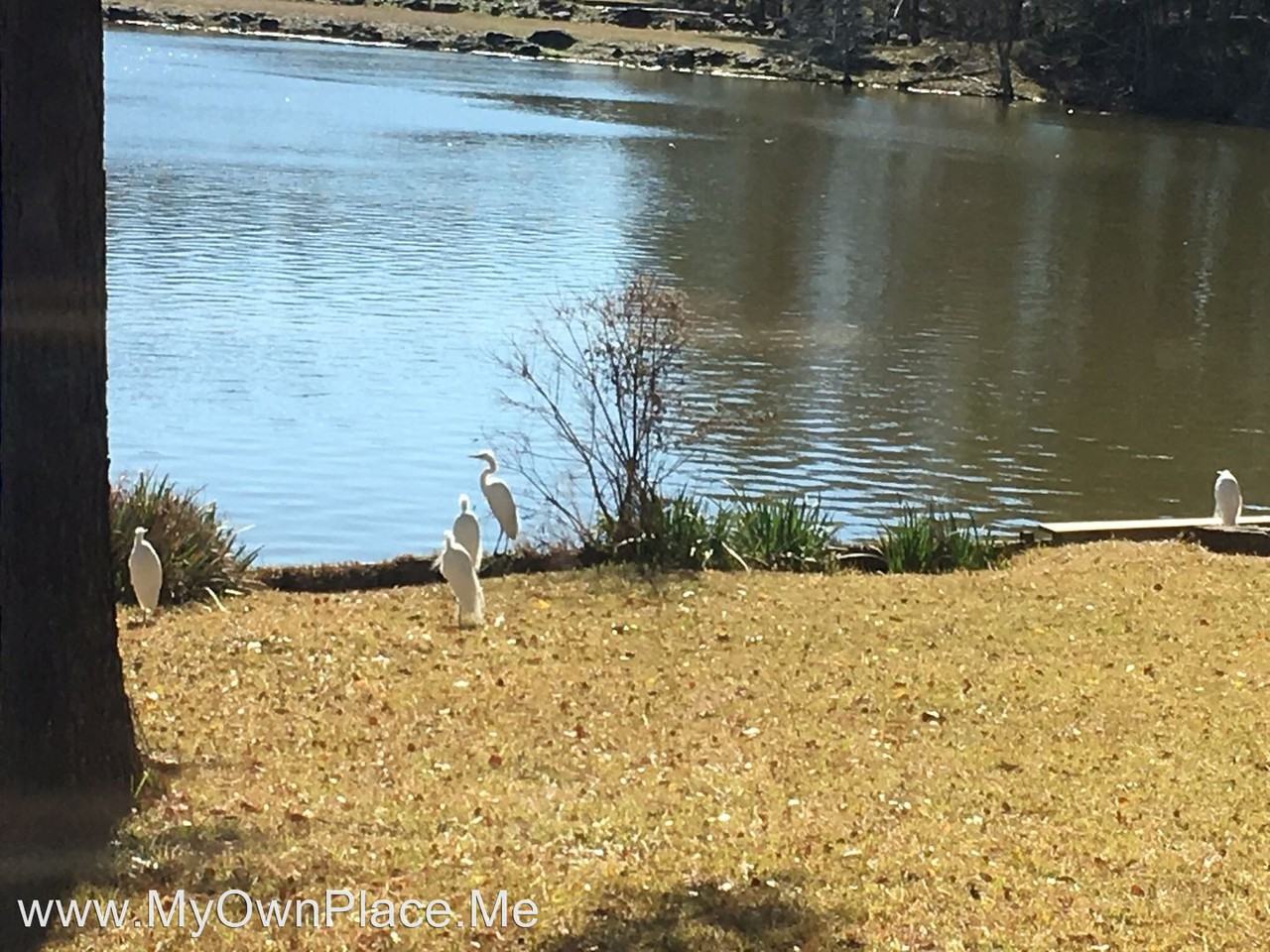 2203 Azalea Circle - Photo 2 of 32