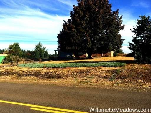 13705 Coon Hollow Rd SE - Photo 3 of 30