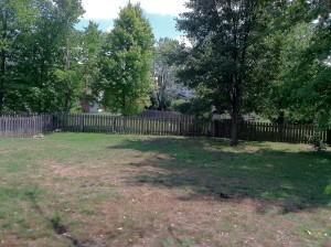 743 Suntree Dr - Photo 3 of 24