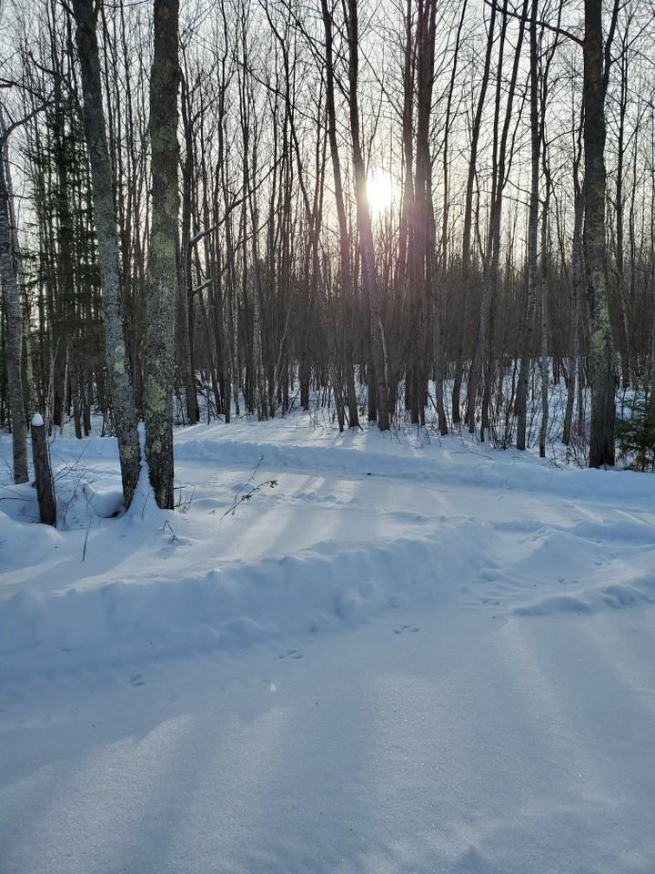 18631 Wendigo Park Cir - Photo 2 of 16