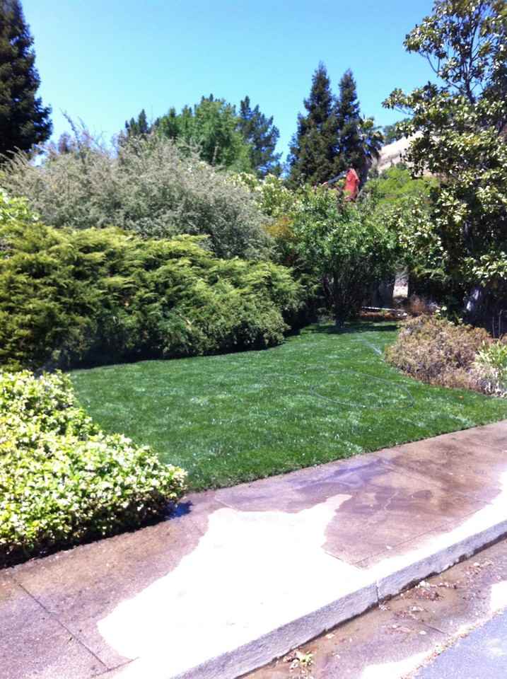 327 Clarkin Court - Photo 3 of 20
