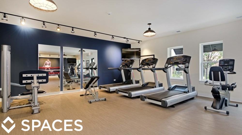 Ravenswood Terrace - Photo 3 of 43