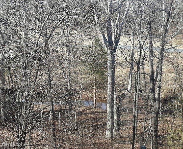 10209 Jamaica Lane - Photo 3 of 4