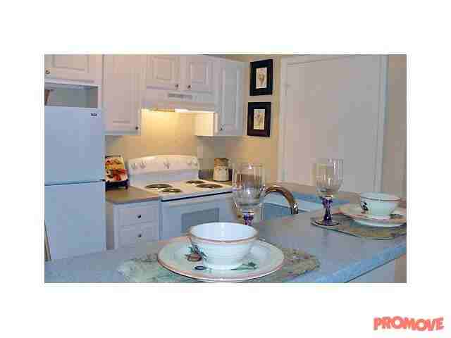 Sonoma Ridge - Photo 3 of 10