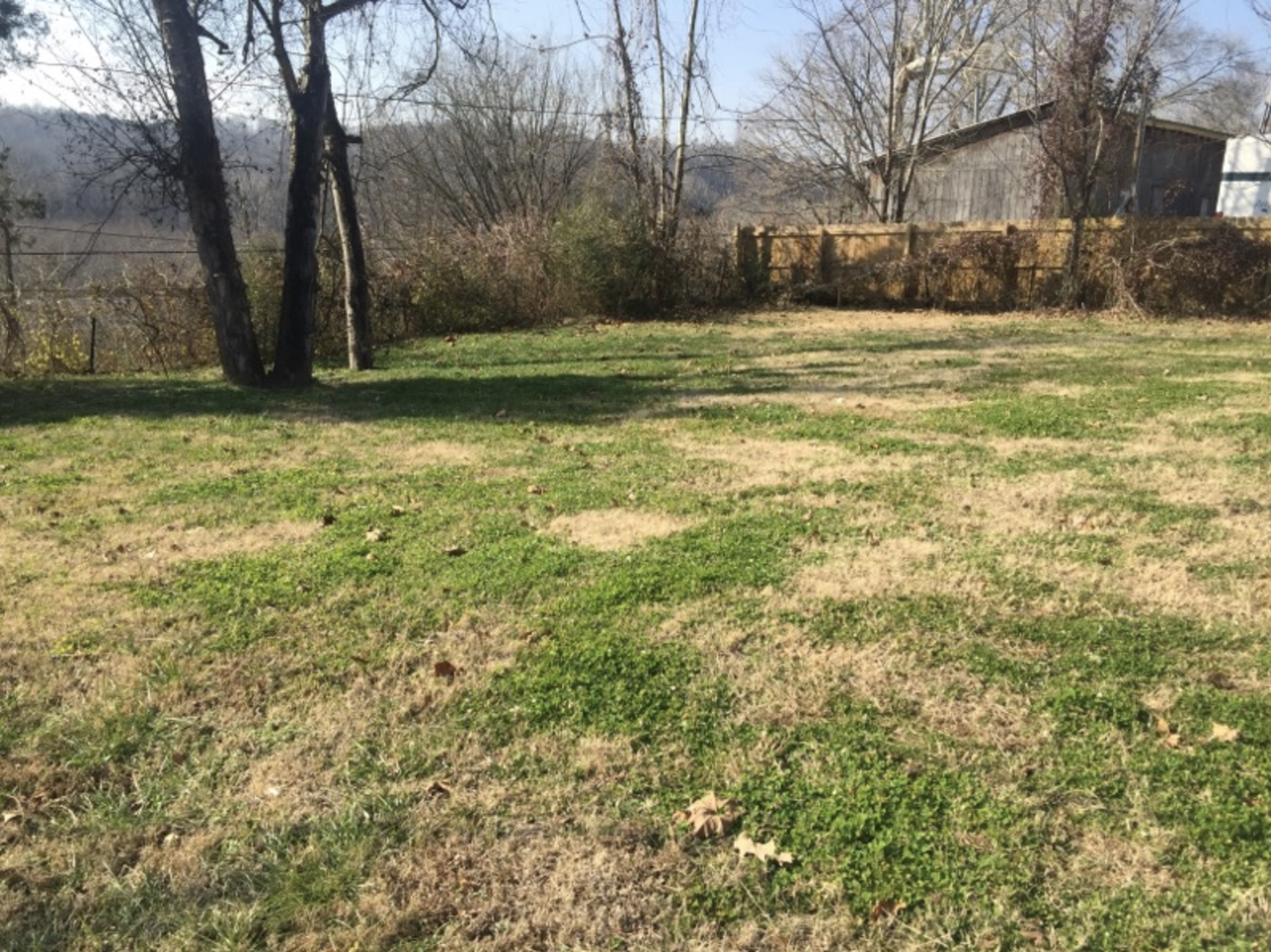 1005 Hill Rd - Photo 3 of 24