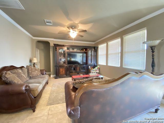 2550 Gato Del Sol - Photo 3 of 14