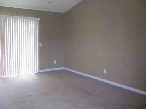 508 Cherry Blossom Ln - Photo 3 of 11