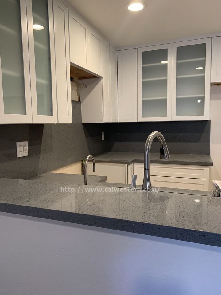 482 Coyote Creek Cir - Photo 3 of 12