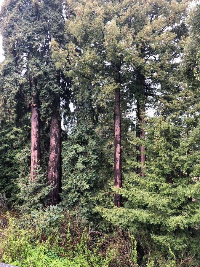 7860 Tanias Ct - Photo 3 of 9