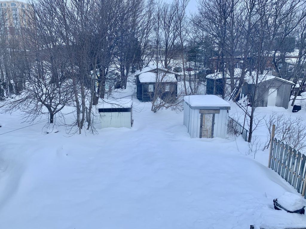 8 Mount Cashel Rd - Photo 3 of 18