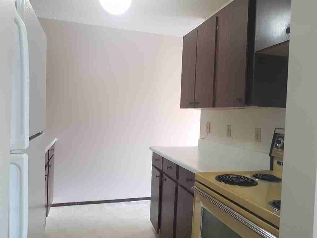 522 Albert Street - Photo 3 of 9