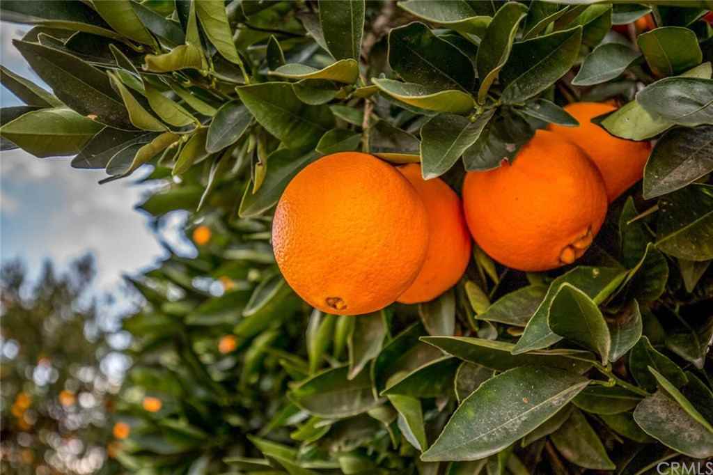 10775 King Street - Photo 2 of 45