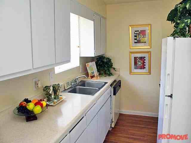 Village at Wesley Chapel - Photo 3 of 10