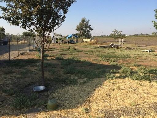 18326 Reynolds Ave - Photo 3 of 21