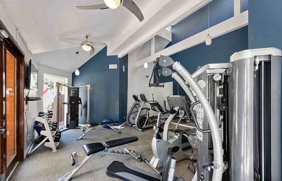 The Enclave Apartments - Photo 6 of 21