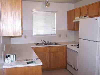 1233B B April Bloom - Photo 2 of 2