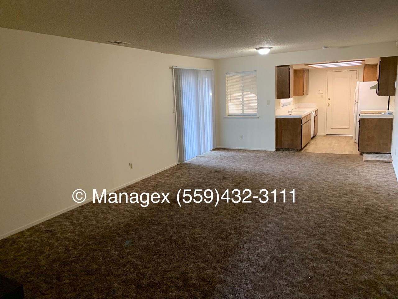 2210 Dewitt Avenue #103 - Photo 3 of 11
