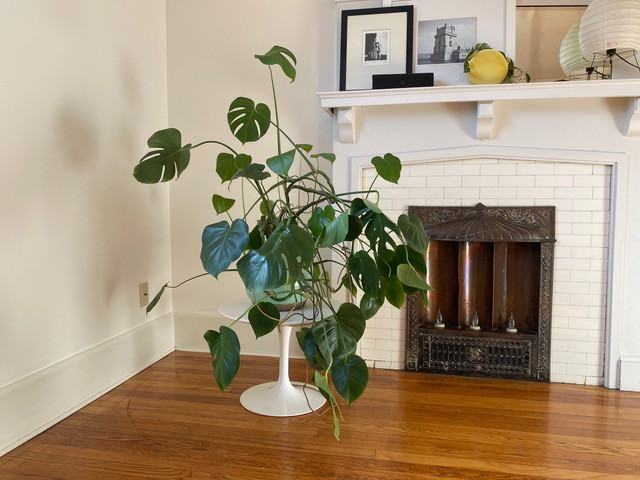 1520 Dundas Street West - Photo 5