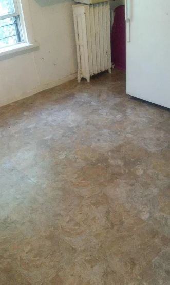 76 Bruce Avenue - Photo 3 of 4