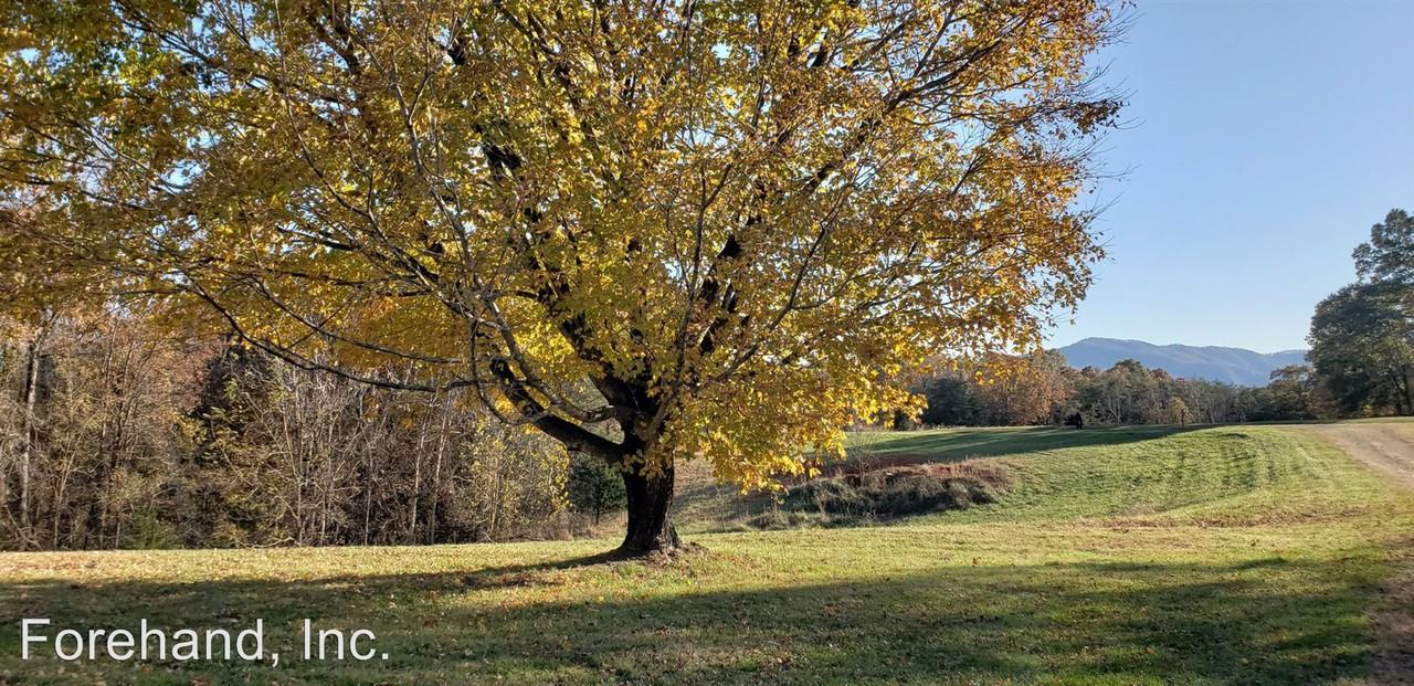 632 Thrashers Creek Rd - Photo 2 of 12