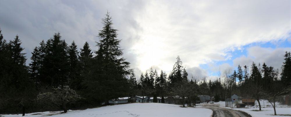 584 Henry Boyd Rd - Photo 2 of 19