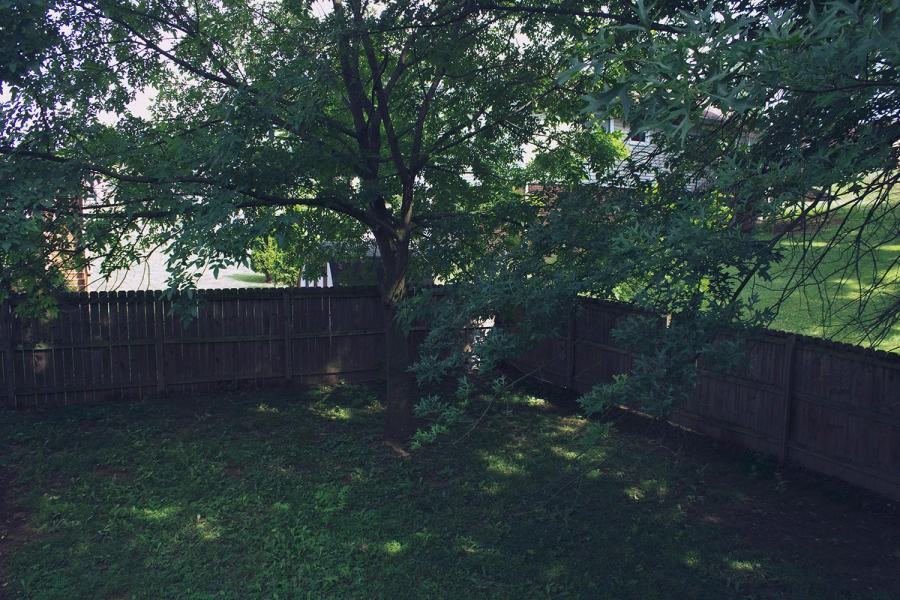 610 Harrison Ave - Photo 2 of 19