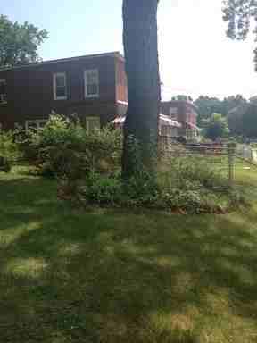 6309 Carrington Ct - Photo 3 of 5