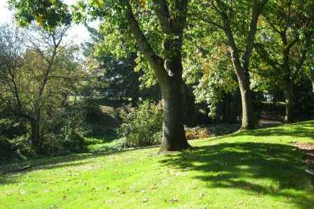 Timber Creek Village - Photo 3 of 5