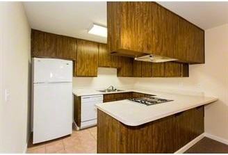 Willow View Apartments - Photo 3 of 30