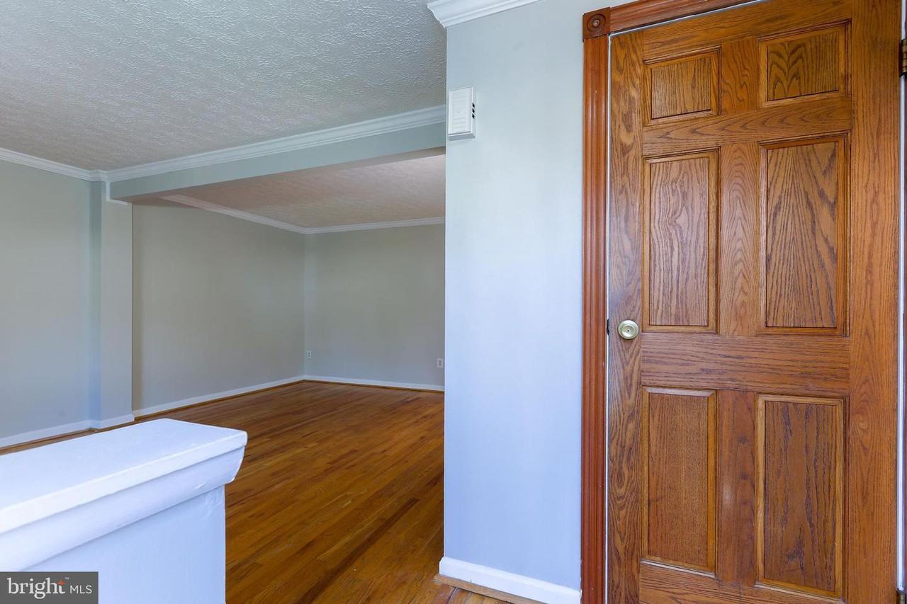 11517 Ivy Bush Court - Photo 3 of 50