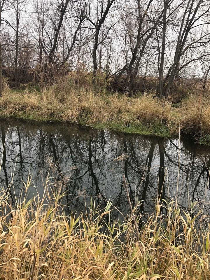 8599 480th St - Photo 2 of 34