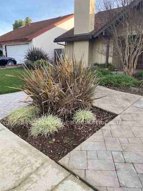 1314 Crossgates Lane - Photo 2 of 50