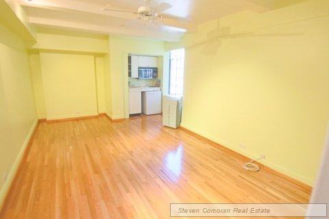 45 Tudor City Pl #1316