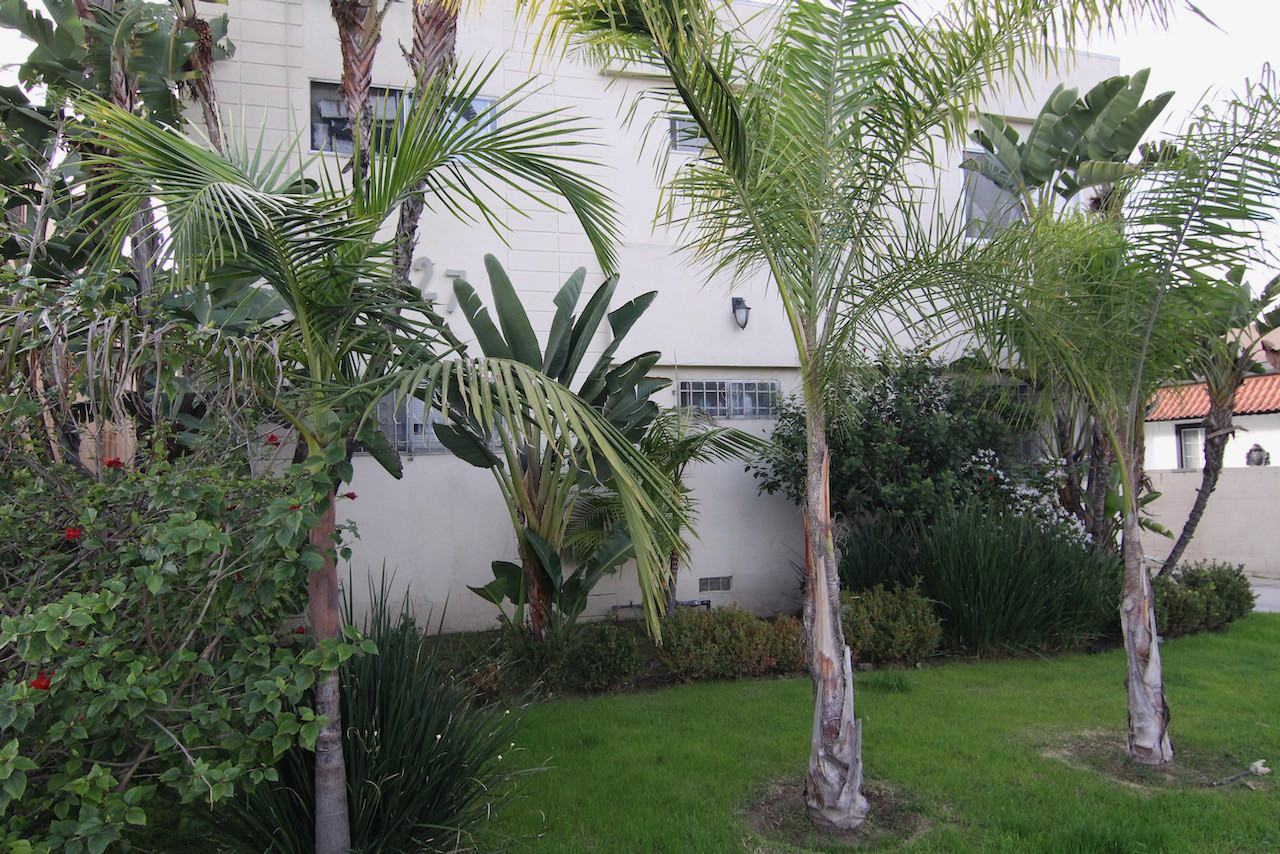 4th Ave. & W. 17th St. - Photo 2 of 35