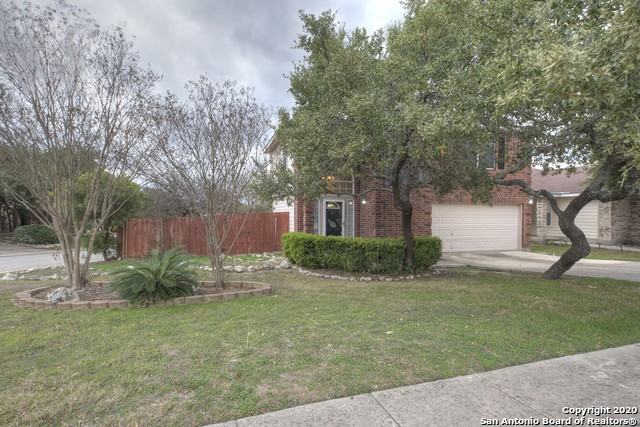 10706 Cat Mountain - Photo 2 of 24