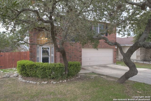 10706 Cat Mountain - Photo 3 of 24