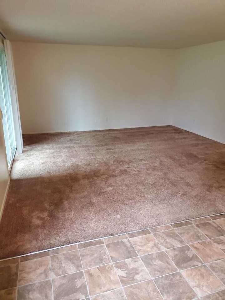 3782 Iberis St Ne - Photo 3 of 12