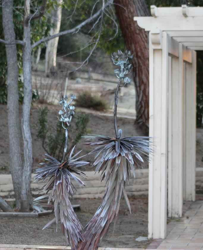 32106 Cerrada Del Coyote - Photo 3 of 50