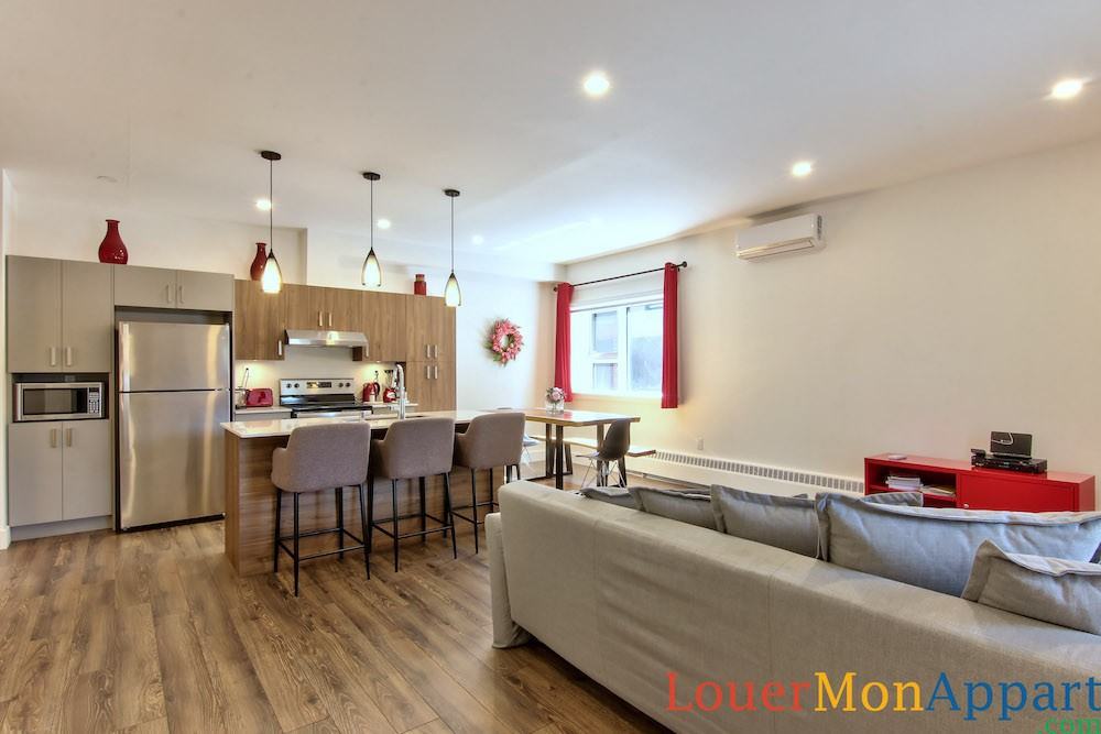 6991 Avenue Casgrain - Photo 3 of 19