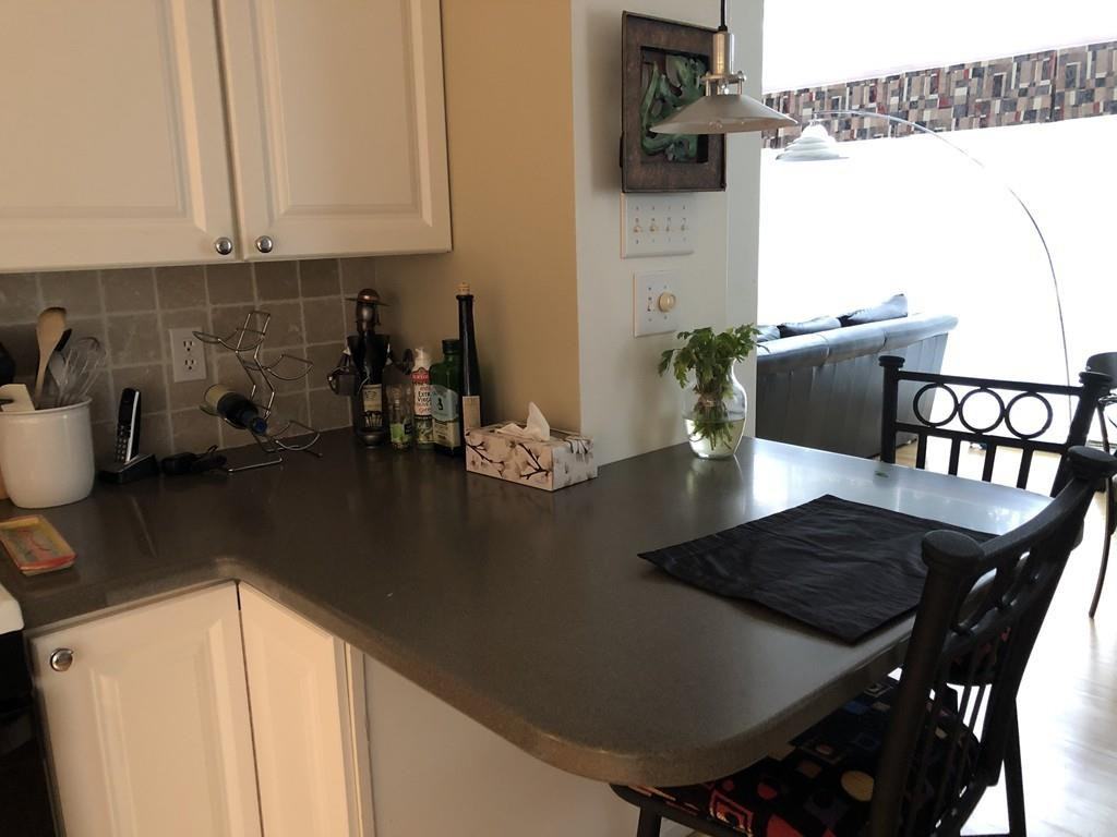 4 Potter Pond - Photo 3 of 25