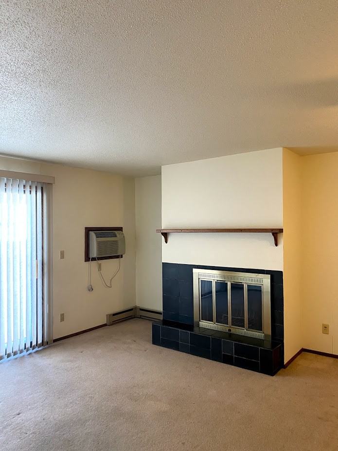 1111 4th Street South - Photo 2 of 14