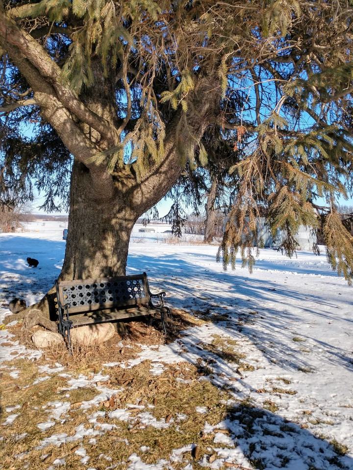 13083 County Road 30 Sw - Photo 2 of 9