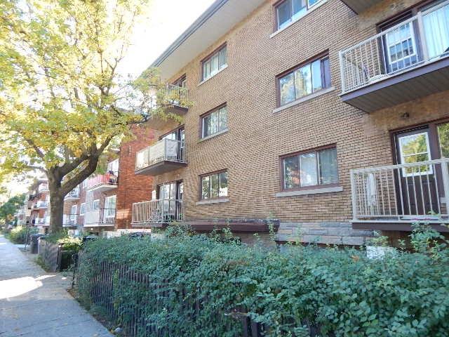 5420 Avenue Walkley #5 - Photo 2 of 4