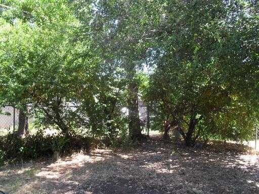 1013 U St - Photo 2 of 2