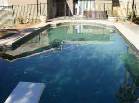 4631 W Marshall Ave - Photo 2 of 9