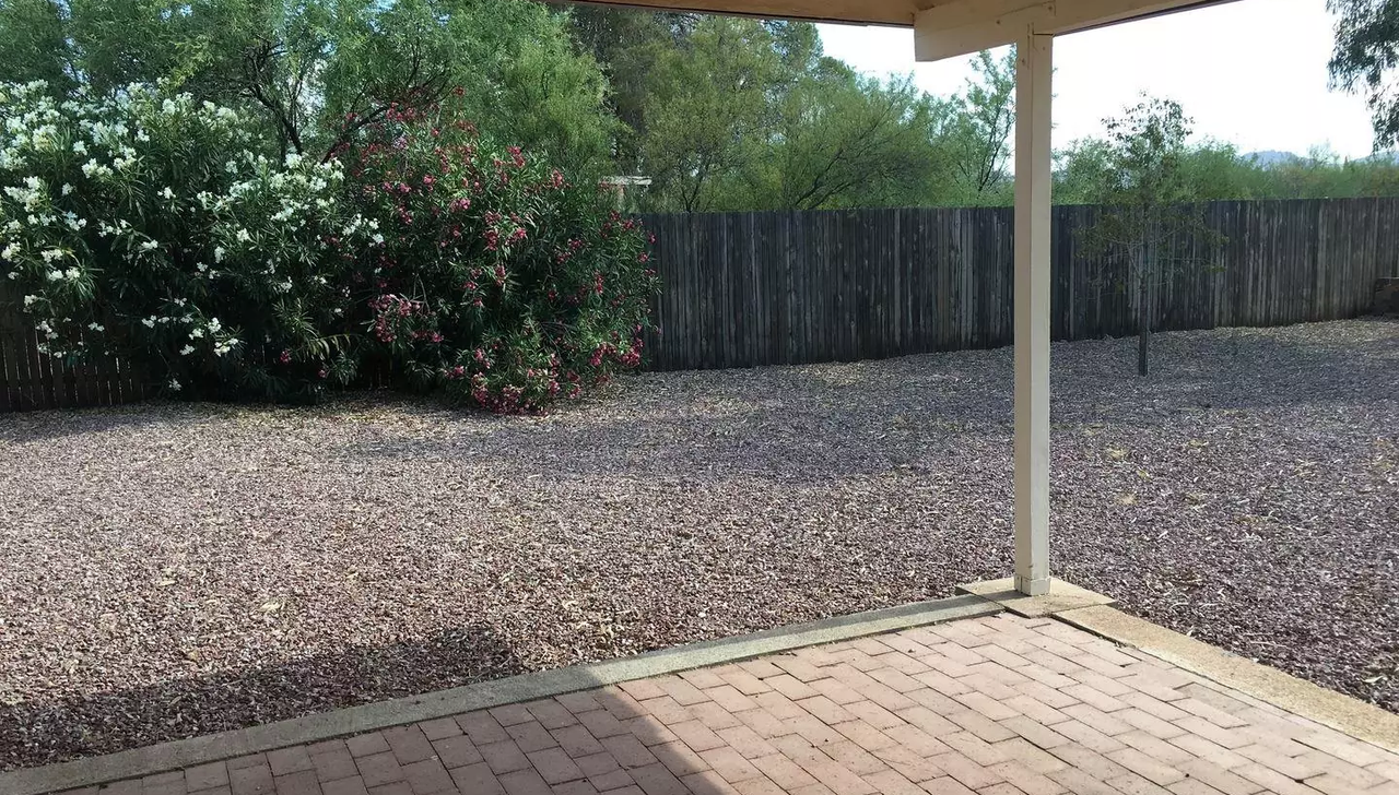 1456 West Chapala Drive - Photo 3 of 31