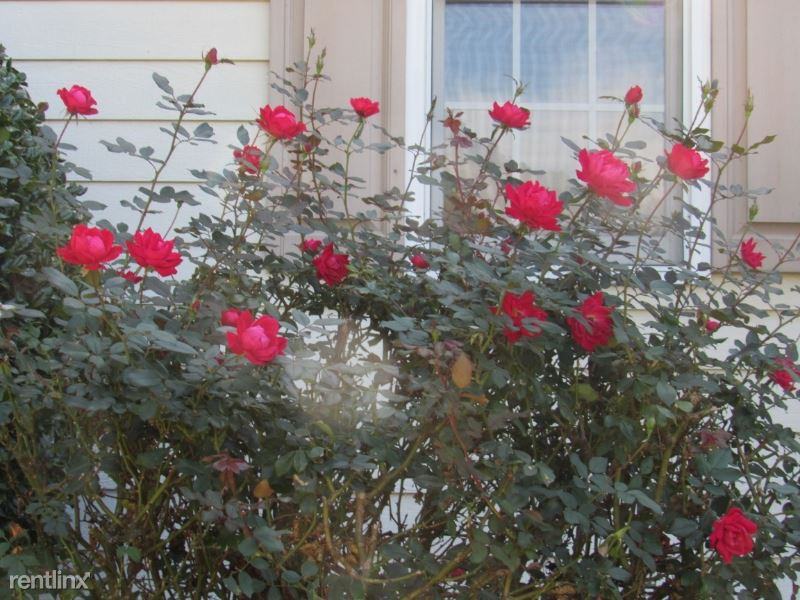 2018 Landmark - Photo 2 of 14