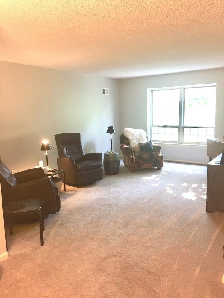 460 W Downer Pl 4c - Photo 3 of 17