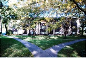featured image of 350 Grove St #105